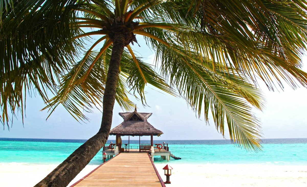 Jet-setters: How to have a more eco-friendly holiday