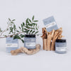 product image-9,The Haircare Duo + FREE Cosmetic Spatulas