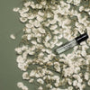 product image-9,Flaura + Santelle Eau De Parfum Sample Vials